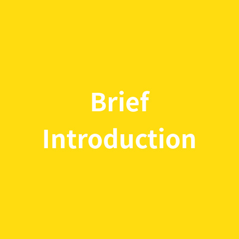 Brief  Introduction